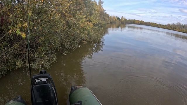 🔺️🎣ОКУНЯРА🎣🔺️fishing#туризм#природа#ловля#рыбалка#щука#ловлящуки#ночевка#Чулым#река#спиннинг смотреть онлайн
