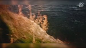 Soloop_20260317165746.mp4