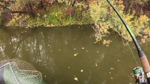 🔺️🎣ОКУНЯРЫ🎣🔺️fishing#туризм#природа#ловля#рыбалка#щука#ловлящуки#ночевка#Чулым#река#спиннинг
