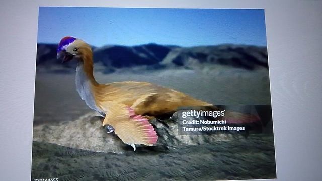 самые маленькие травоядные жинозавры