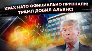 «Бумажный тигр» доживает последние дни: как Трамп и европейская гордыня добивают НАТО