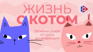 Жизнь с котом! Гигиена ушей: от серы до инфекций
