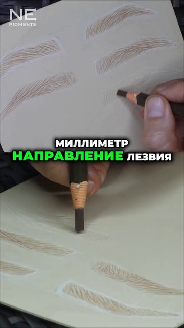 Как рисовать волоски по линии гид и избежать «ёлочки» #nepigments #перманентныймакияж #татуаж
