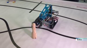 В Бийске прошел турнир «Золотые умы Алтая», который собрал талантливых ребят со всей страны