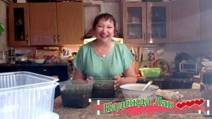 Рассада, Женя и загадочный Пердикулит: миссия невыполнима?