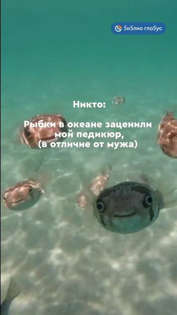 Рыбки в океане заценили мой педикюр (в отличии от мужа) #shorts