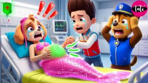 Щенячий патруль и Маршалл. Залипательное видео. Мультфильм для детей и малышей. Анимация 355