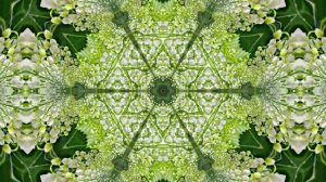 Футажи! Комплект Футажей Весенняя Ландышевая Сказка 3 от Киностудии Мудрого Кота Тимофея!