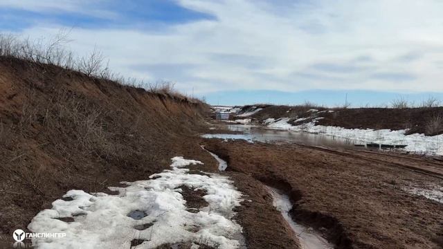 Самый точный Егерь? | Premium Custom | ГАНСЛИНГЕР