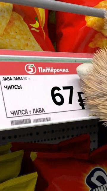 Бен и 67 😲6️⃣7️⃣