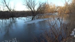 Ледоход на Тихой Сосне. Часть 1