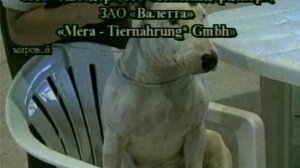 1998 год. Тюмень. Реклама выставки собак