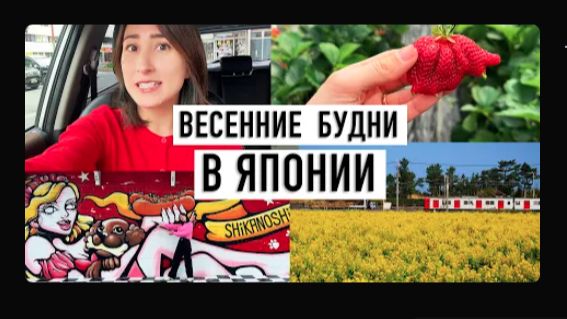 Тихие дни в Японии в начале весны Фукуока цветение сливы и поездка на остров [get.gt]