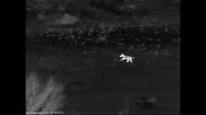 Шесть заключительных вечеров охоты на шакала в Ростовских степях от Александра, сезон закрыт…