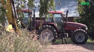 13 уфимцев подхватили геморрагическую лихорадку с почечным синдромом за прошедшую неделю