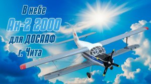 В небе Ан-2 2000 для ДОСААФ Читы / ALNADO