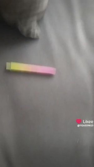 1000042704.mp4