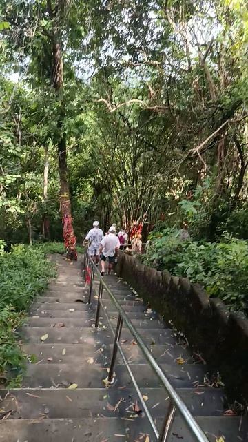 Золота нет. Но есть — ленточки