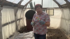 ОТКРЫЛИ ДАЧНЫЙ СЕЗОН.ПОСАДИЛИ КАПУСТУ НА РАССАДУ, ЗЕЛЕНЬ.