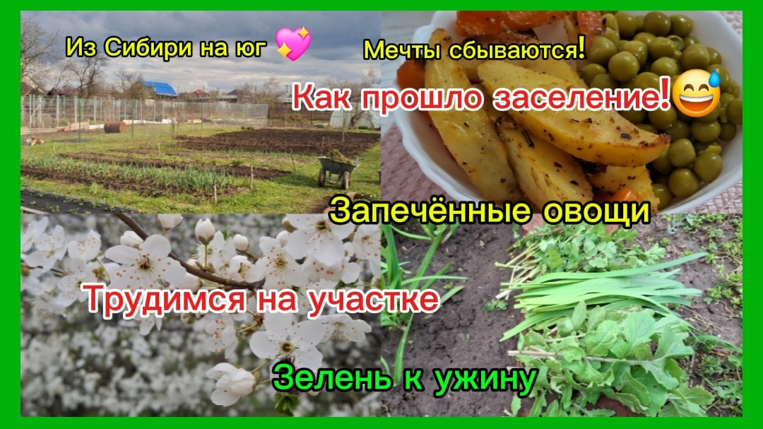 02-04-2026 Переезд из Сибири на юг/Заселение//Погоняли они нас/Своя зелень/ Вкусные овощи/Трудимся//