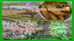 02-04-2026 Переезд из Сибири на юг/Заселение//Погоняли они нас/Своя зелень/ Вкусные овощи/Трудимся//