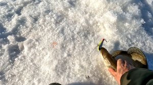 2 апреля 2026 г.Устье р.Кондинка