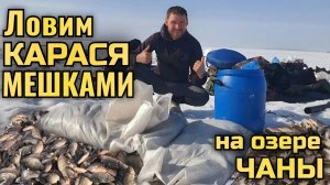 Ловим карася мешками на озере Чаны! Карася полно! Клюет как из пулемета! По два карася за раз!)