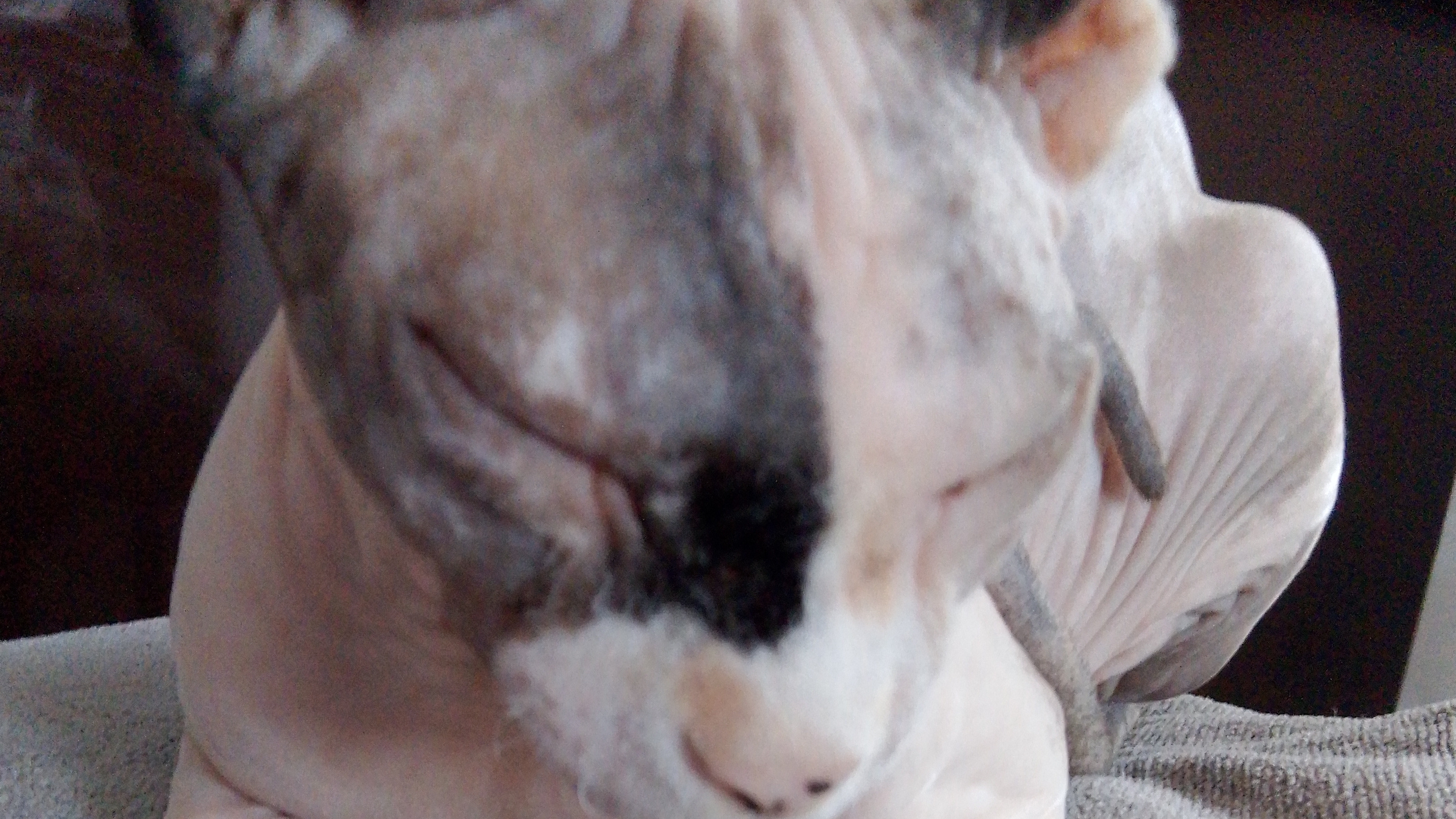 2 часть в  Узбекистане