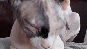 2 часть в  Узбекистане