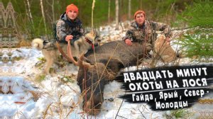 Двадцать минут охоты на лося .Гайда, Ярый, Север-молодцы.