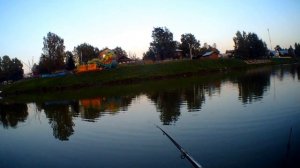 ЖОР КАРАСЯ, БЕШЕНЫЙ КЛЁВ! Рыбалка на поплавочную удочку.