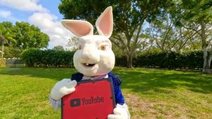 Настя и картонный отель