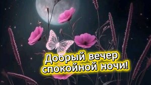Добрый вечер и спокойной ночи!