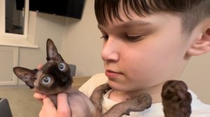 Мукбанг:  Чизбургер 🍔 блючиз 🍟сырные палочки, Такос 🌮  компот из сухофруктов 😋