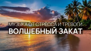 Сброс тревоги 🌿 Море в лунном свете 🌹 Волшебный закат 🧘