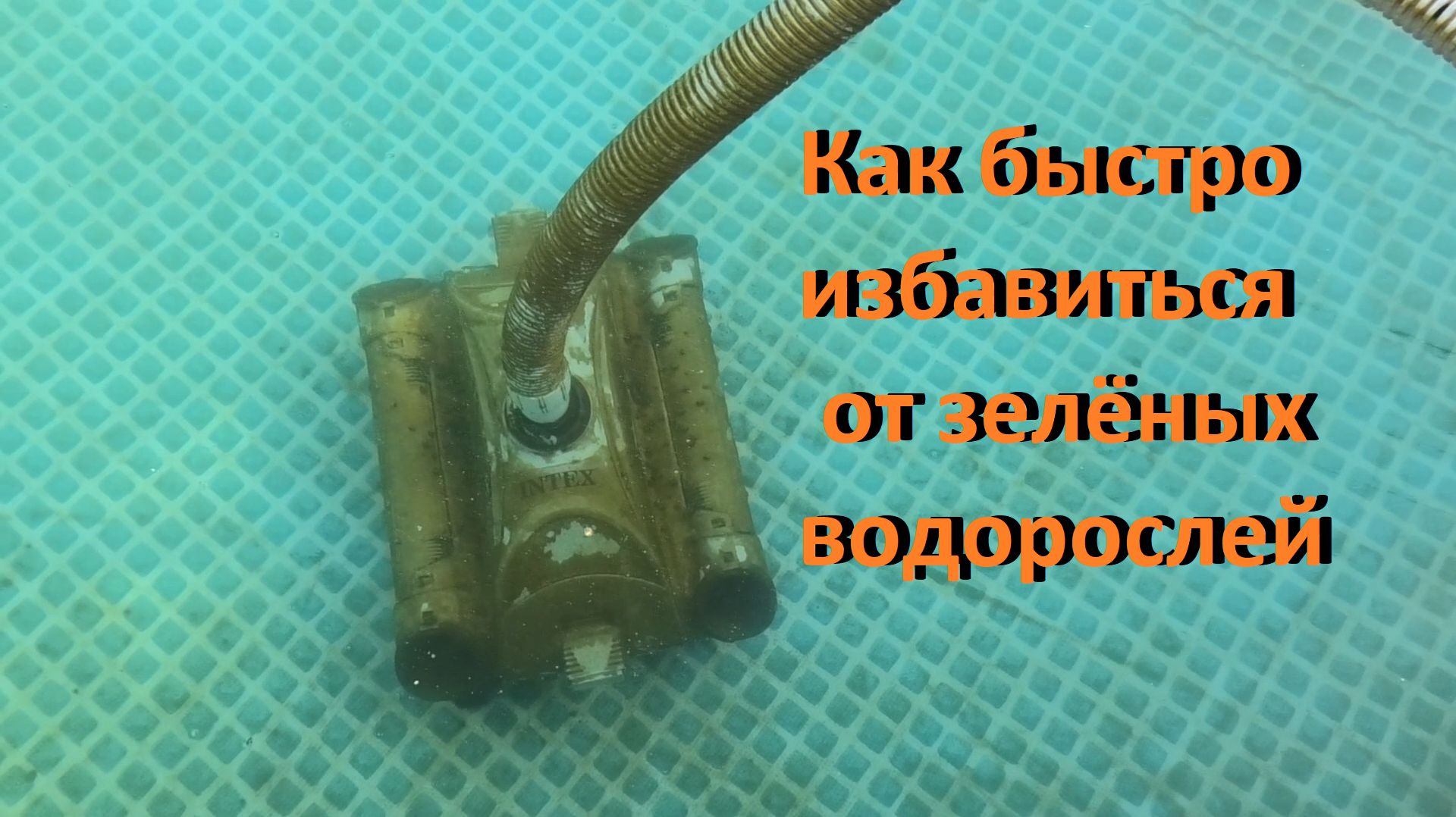 Каркасный бассейн Как быстро избавиться от зелёных водорослей