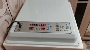 Модернизация китайского инкубатора