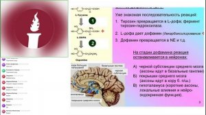 Вебинар: «Применение аквабиотиков при стрессе. Часть 2.»