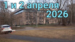 1 и 2 апреля 2026. Плиту поставили. Три зуба вырвали...