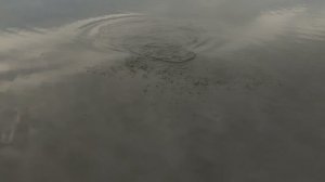 Проверка клёва.