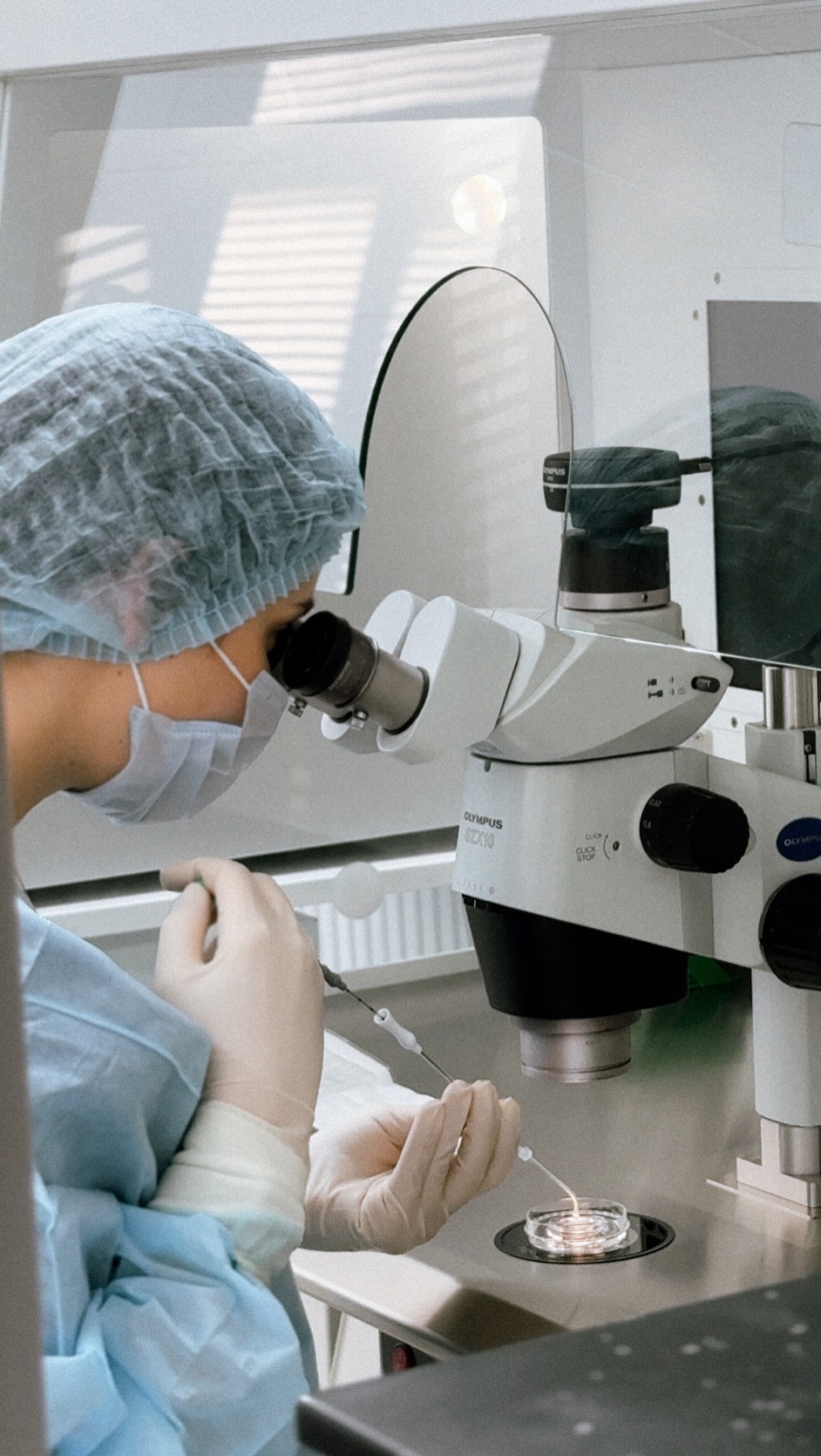 Закулисье ЭКО