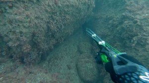 Хозяин камней / Подводная охота