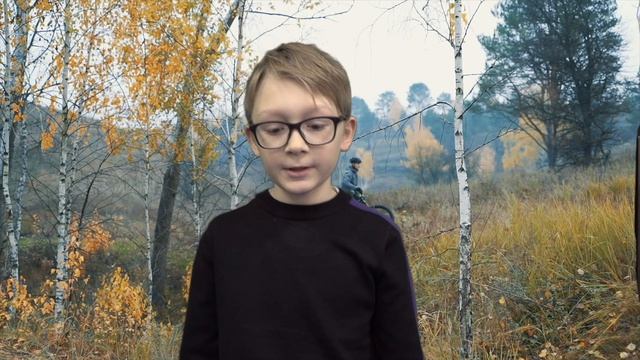 Животный Мир