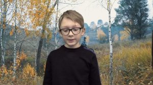 Животный Мир