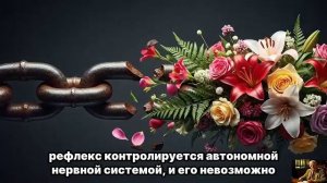 НОЧЬЮ ВСЁ РЕШИТСЯ — Прими ТЕНЬ и НАБЛЮДАЙ за чудом