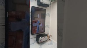 Играю в игру в зомби