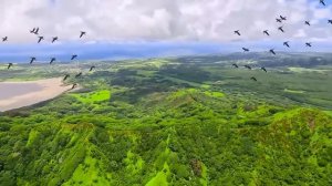 Влад и Ники семейная поездка на Гавайи