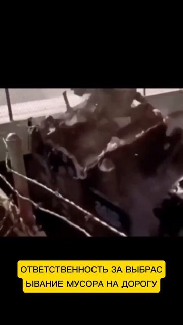 100 ТЫСЯЧ ЗА МУСОР или ответственность за мусор на дорогах #новости #вести #россия #рф #штраф #гибдд
