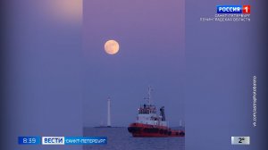 Вести Санкт-Петербург. Выпуск 08.35 от 02.04.2026