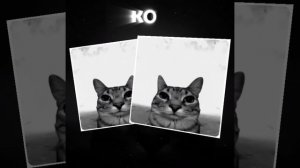 ПРОСТО ВИДЕО